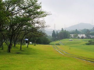 P1011917.jpg