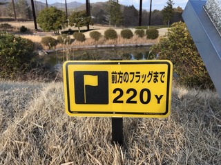 旗TEE.jpg