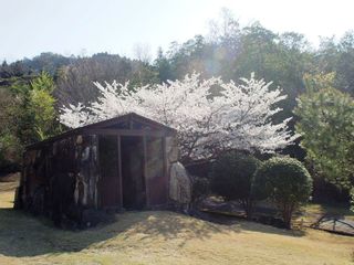 P1013690.JPG