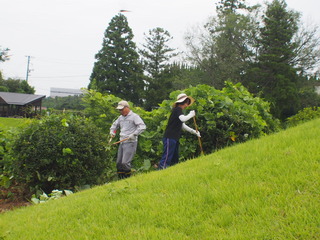 P1014187.JPG
